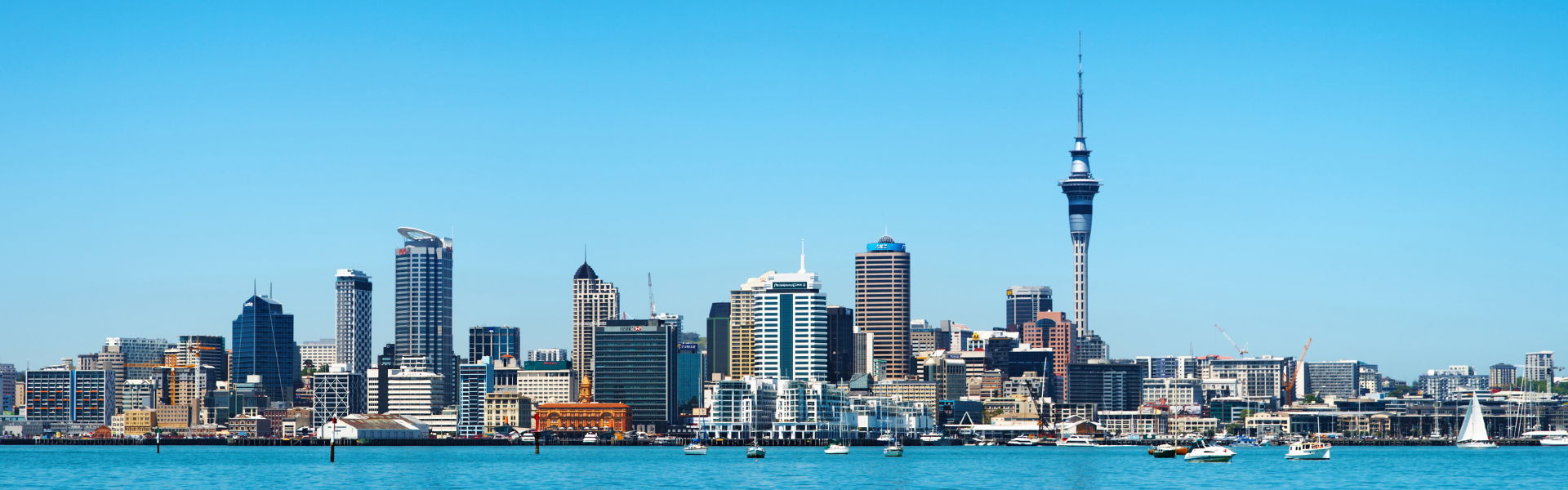 Things To Do in Auckland with Kids